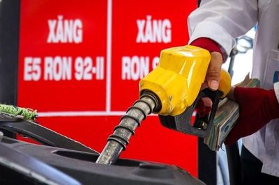 Giá xăng dầu hôm nay 14.11: Tăng nhẹ sau chuỗi giảm sâu