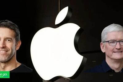 Apple chuẩn bị cho khả năng Tim Cook từ chức CEO, John Ternus có thể thay thế