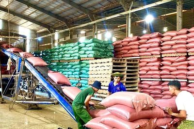 Hỗ trợ pháp lý - 'lực đẩy' cho doanh nghiệp nhỏ và vừa
