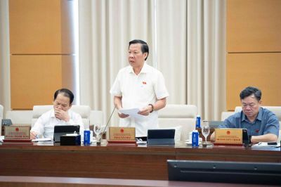 Cần hướng dẫn chi tiết cho việc thực thi Nghị quyết 173 và sửa đổi các luật liên quan