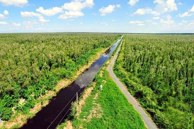 Thị trường carbon: Chuyển từ bù đắp sang đóng góp thực chất