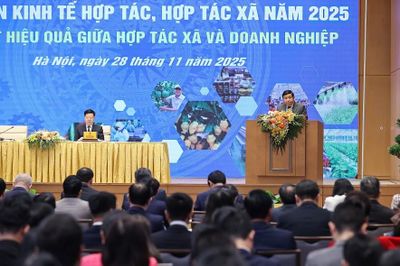 Tăng lực kết nối hợp tác xã - doanh nghiệp, thêm lực đẩy từ tín dụng