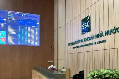 Xử phạt vi phạm hành chính lĩnh vực chứng khoán đối với Công ty cổ phần Tập đoàn Dabaco Việt Nam