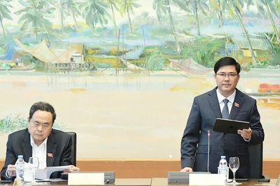 Chương trình mục tiêu quốc gia về nông thôn mới, giảm nghèo bền vững, phát triển kinh tế - xã hội vùng đồng bào dân tộc thiểu số và miền núi: Tiêu chí gắn với nguồn lực, mục tiêu gắn với khả năng thực thi
