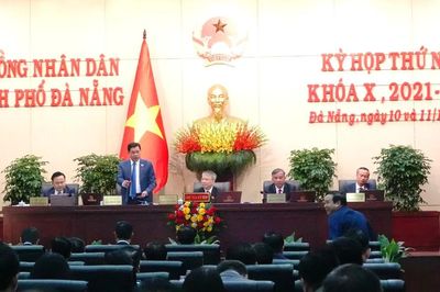 Đà Nẵng tính việc chuyển đổi rừng keo, rà soát quy trình xả lũ