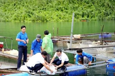 Phát huy hiệu quả mô hình Tổ khuyến nông cộng đồng
