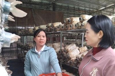 Khai phá tiềm năng nông nghiệp