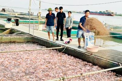 Hợp tác xã Nông nghiệp và dịch vụ tổng hợp nuôi trồng thủy sản Chiến Thắng: 'Ngôi sao' của kinh tế tập thể