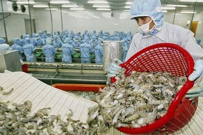 Dự báo xuất khẩu tôm cán mốc 4,5 tỷ USD, cao nhất từ trước tới nay