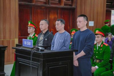 Vợ chồng Vi 'ngộ' đã trốn thuế như thế nào?