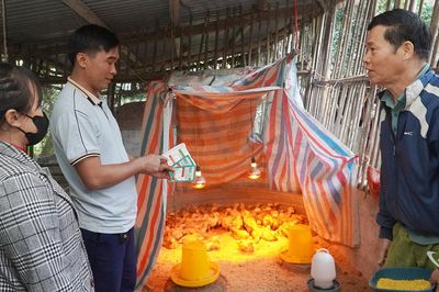 Đa dạng hóa sinh kế ở vùng khó