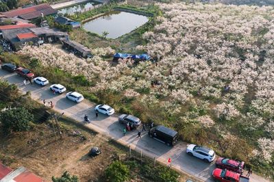 Khám phá mùa hoa mận Mộc Châu