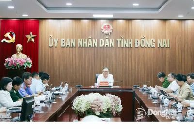 Tăng cường, quyết liệt chống buôn lậu, gian lận thương mại và hàng giả