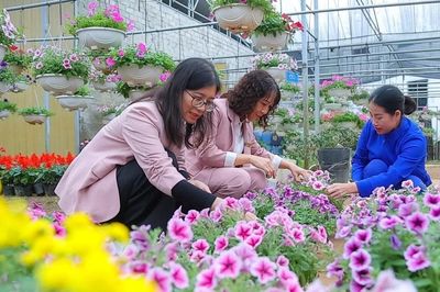 Rộn ràng thị trường hoa, cây cảnh Tết