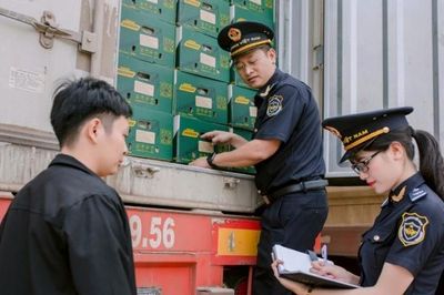 Hải quan Khu vực XIV: Doanh nghiệp tham gia làm thủ tục hải quan tăng gần 10%