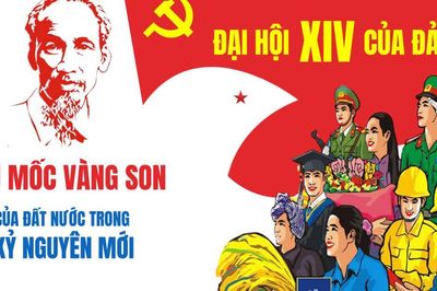 Chuyển đổi số toàn diện từ cơ sở phù hợp điều kiện phát triển mới