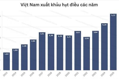 Xuất khẩu hạt điều lần đầu đạt 5 tỷ USD