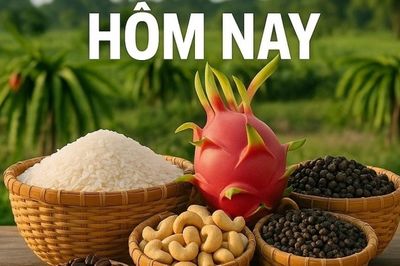 Giá nông sản hôm nay 16/1/2026: Giá cà phê hết giai đoạn 'tăng nóng', Trung tâm giám định hàng hóa xuất nhập khẩu tại Quảng Ninh được công nhận