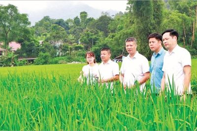 Đổi mới sáng tạo ở Thái Nguyên