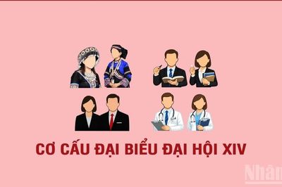 Cơ cấu, thành phần đại biểu dự Đại hội XIV của Đảng