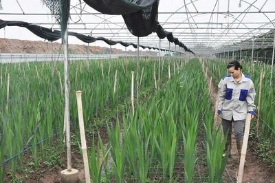 Hưng Yên đẩy mạnh truyền thông, củng cố hạ tầng thông tin, sách hỗ trợ cho mục tiêu giảm nghèo đến năm 2035