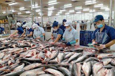 Việt Nam thu gần 2,2 tỷ USD từ xuất khẩu cá tra 2025