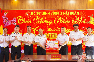 Bộ tư lệnh Hải quân kiểm tra, chúc Tết Vùng 2 Hải quân