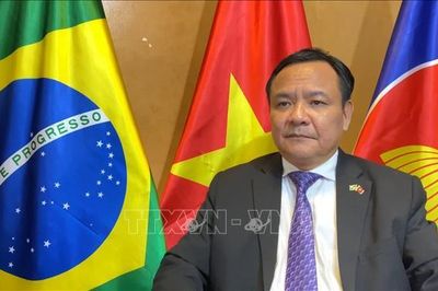 Lễ kỷ niệm tại Brazil tôn vinh vai trò lịch sử của Đảng Cộng sản Việt Nam