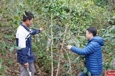 Khơi thông dòng chảy khoa học kỹ thuật ra đồng ruộng