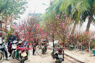 Vỉa hè Hà Nội chật chội mùa hoa Tết