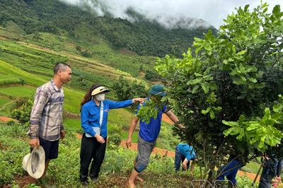 Phát huy vai trò MTTQ trong giai đoạn mới