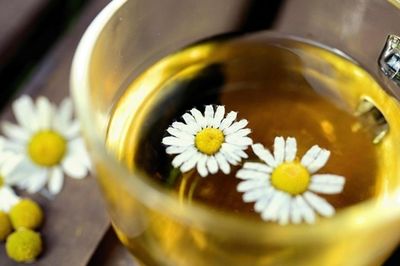 4 loại trà hoa lá uống ngày Tết thanh nhiệt, hỗ trợ tiêu hóa, có lợi cho sức khỏe