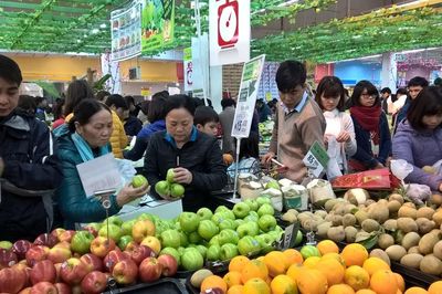 Động lực mới để kinh tế Việt Nam tăng tốc đến năm 2030