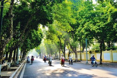 Thời tiết từ mùng 2 đến mùng 6 Tết đặc biệt ra sao?