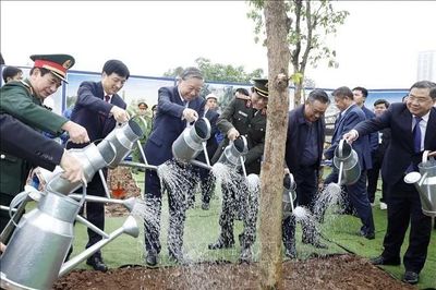 Tổng Bí thư Tô Lâm dự Lễ phát động Tết trồng cây Xuân Bính Ngọ 2026