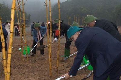 Sóc Sơn trồng hơn 5.000 cây xanh trong năm 2026