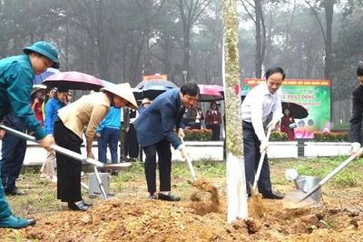 Hà Nội: 126 xã, phường phát động 'Tết trồng cây'