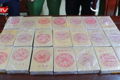 Triệt xóa đường dây mua bán trái phép chất ma túy, thu giữ 22 bánh heroin