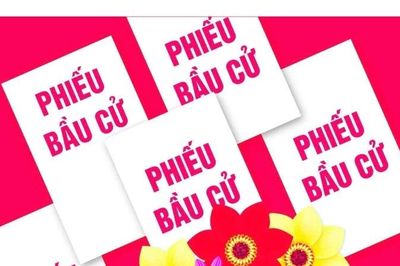 Quyền bầu cử là gì? Quyền ứng cử là gì?