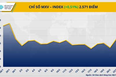 Thị trường hàng hóa: MXV-Index lập đỉnh một tháng bất chấp áp lực từ năng lượng