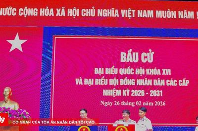 4 khu vực ở TP.HCM bầu cử sớm