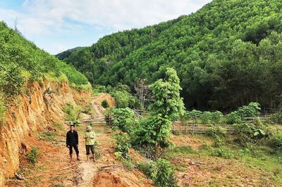 Khung pháp lý cho sàn giao dịch carbon trong nước