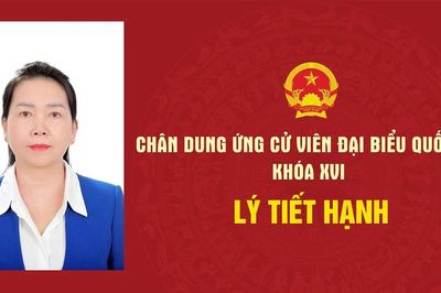 Infographic Chân dung ứng cử viên đại biểu Quốc hội khóa XVI Lý Tiết Hạnh