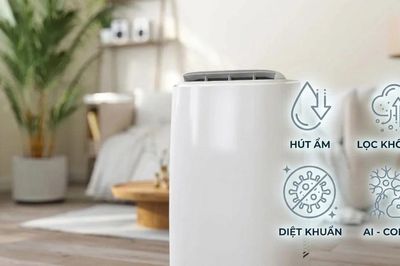 Máy hút ẩm AI hút khách, chọn sao cho phù hợp?