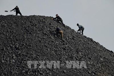 Giá than đá tăng lên mức cao nhất trong hơn một năm