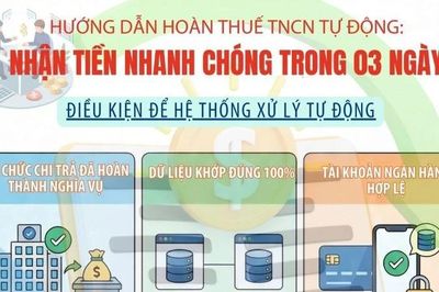 Hướng dẫn hoàn thuế thu nhập cá nhân tự động
