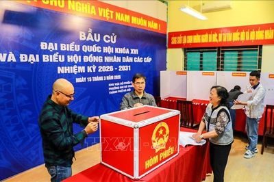 Ngày 15/3/2026 - Ngày hội non sông