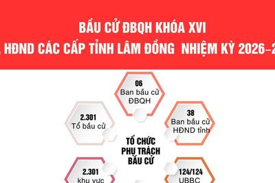 Cử tri Lâm Đồng bầu 17 đại biểu Quốc hội, 85 đại biểu HĐND tỉnh và 2.949 đại biểu HĐND cấp xã