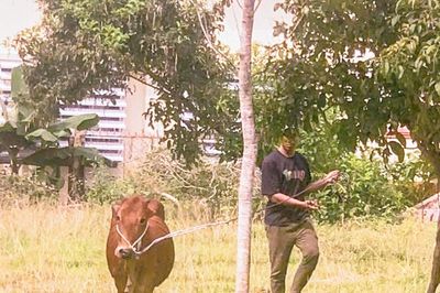 Những đổi thay từ sinh kế và hạ tầng ở xã miền núi Hàm Thạnh