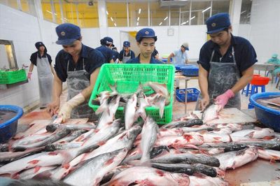 Giá cước tăng cao, lúa gạo, thủy sản, phân bón cùng gặp khó